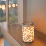 Diffuseur par Chaleur Douce<br />CALORYA N° 1