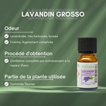 Huiles Essentielles Lavandin Grosso - 10 ml