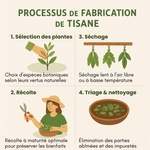 Tisane Bio JE VOIS<br />Gamme Chakra