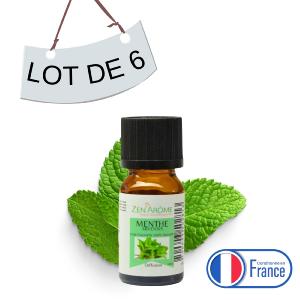 Lot de 6 Huiles Essentielles Menthe