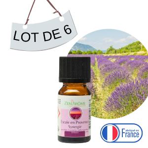 Lot de 6 Synergies<br />Escale En Provence