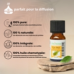 Huiles Essentielles Arbre à Thé - 10 ml