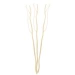 Lot de 3 Tiges de rotin avec branches