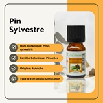 Huiles Essentielles Pin Sylvestre - 10 ml