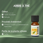 Huiles Essentielles Arbre à Thé - 10 ml