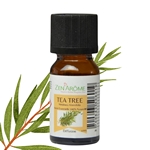 Huiles Essentielles Arbre à Thé - 10 ml