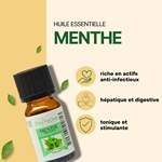 Huiles Essentielles Menthe Arvensis - 10 ml