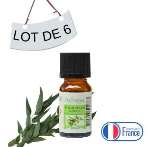 Lot de 6 Huiles Essentielles Eucalyptus