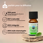 Synergie d'huiles essentielles Purifiante - 10 ml