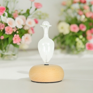 Diffuseur d'huiles essentielles avec Fonction Minuterie - BAO-M