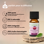 Synergie d'huiles essentielles Escale en Provence - 10 ml