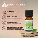 Huiles Essentielles Eucalyptus - 10 ml