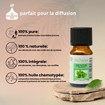 Huiles Essentielles Menthe Arvensis - 10 ml