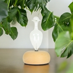 Diffuseur d'huiles essentielles avec Fonction Minuterie - BAO-M