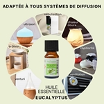 Huiles Essentielles Eucalyptus - 10 ml