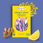 Tisane Bio Ginger Glow<br />Gamme Triple Power