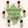 6 Huiles Essentielles + 1 Trousse Offerte