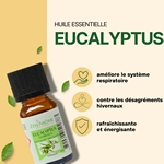 Huiles Essentielles Eucalyptus - 10 ml