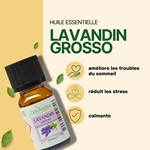 Huiles Essentielles Lavandin Grosso - 10 ml