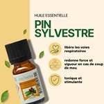 Huiles Essentielles Pin Sylvestre - 10 ml