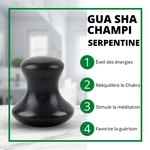 1 Champi GuaSha en Serpentine Noir