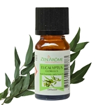 Huiles Essentielles Eucalyptus - 10 ml