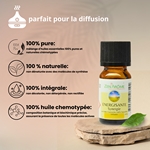 Synergie d'huiles essentielles Energisante - 10 ml