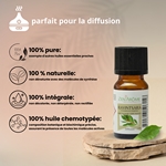 Huiles Essentielles Ravintsara - 10 ml