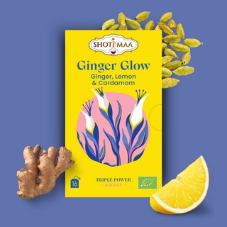 Tisane Bio Ginger Glow<br />Gamme Triple Power