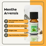 Huiles Essentielles Menthe Arvensis - 10 ml