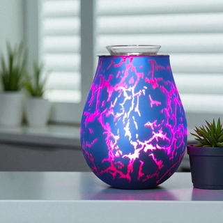 11 Diffuseur par Chaleur Douce CALORYA N° 10 + 1 Offert