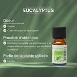 Huiles Essentielles Eucalyptus - 10 ml