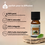 Huiles Essentielles Pin Sylvestre - 10 ml