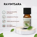 Huiles Essentielles Ravintsara - 10 ml