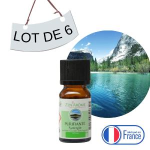 Lot de 6 Synergies Purifiante