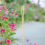 Lot de 3 Tiges de rotin avec branches