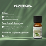 Huiles Essentielles Ravintsara - 10 ml