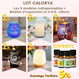 10 Diffuseurs par Chaleur Douce + 1 Modèle Expo Et 4 Huiles Essentielles