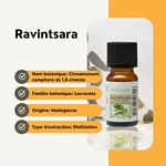 Huiles Essentielles Ravintsara - 10 ml