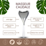 Masseur Caudale 